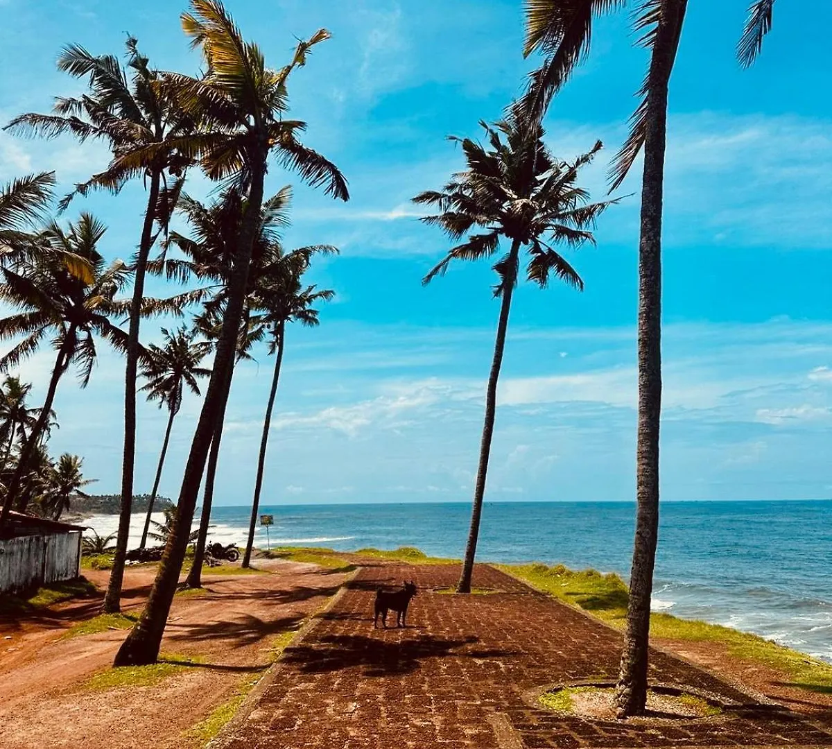 Oceany Beach Pool Villa Varkala Bed & Breakfast